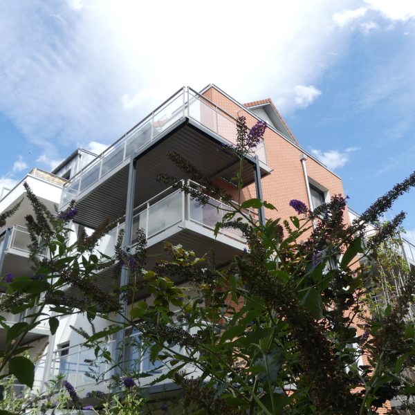 P1110650